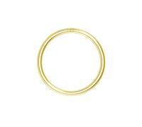 OUFER Body Piercing Nose Ring Hoop 20G Nose Ring Hinged Segment Helix Lip Rings Thin Nose Hoop Piercing Gold Cartilage Daith Rook Tragus Conch Earrings Jewellery