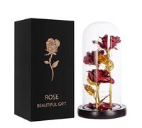 ougiver Regalos de rosas personalizadas para mujeres, regalos de cumpleaños para mamá para siempre, regalo de rosa para su esposa, abuela, novia, rosas eternas en una cúpula de cristal, Navidad, San