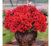 OUKEYI 6 flores artificiales de geranio de 14 pulgadas para exteriores, flores rojas de seda de geranio para exteriores, resistentes a los rayos UV, plantas de jardín, arbustos sintéticos para el