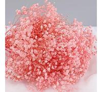 OUKEYI Ramo de flores secas de 17.2 pulgadas, más de 2500 flores secas, ramas naturales de Gypsophila para decoración del hogar, boda, decoración de mesa, corona de bricolaje, flores secas a granel