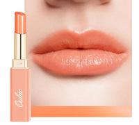 Oulac 2 in 1 Pintalabios y Bálsamo Labial, Barra de Labios Hidratante Textura Ligera y No Pegajosa, con Manteca de Karité Para Labios Agrietados y Secos, Color Intenso, Acabado Brillante, Vegan 21