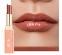 Oulac 2 in 1 Pintalabios y Bálsamo Labial, Barra de Labios Hidratante Textura Ligera y No Pegajosa, con Manteca de Karité Para Labios Agrietados y Secos, Color Intenso, Acabado Brillante, Vegan 28