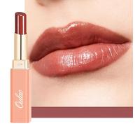 Oulac 2 in 1 Pintalabios y Bálsamo Labial Marrón- Pintalabios Brillante Hidratante, Enriquecido Con Aceite de Rosa,Acabado Brillante para Labios Secos, Agrietados y Dañados,Vegan, (02)