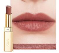 Oulac Pintalabios Mate Mujer-Lipstick Labiales Larga Duración Hasta 8H,Waterproof&No Transfer, Alta Pigmentación,Mate Acabado Suave,Textura Ligera Confortable,Matte Lipstick Maquillaje Vegano RM06