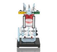 Oumefar Modelo de motor de combustión interna de 4 tiempos Modelo de motor diesel Modelo de motor diesel de cuatro tiempos Modelo de motor diesel de un solo cilindro para física Mecánica Experimento