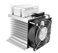 Oumefar Relé de Estado Sólido Relés de CA Trifásicos Automáticos Mejorados para Control de Temperatura de Motores y Uso Industrial, 150 A/200 A (TSR-200DA-R con radiador)