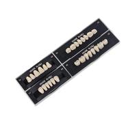 Ounfhtrttk Materiales Dentales Estudiantes de Dentaduras Postizas Dientes de Práctica Modelos Dentales Dientes de Dentadura Postiza Preformados Herramientas Dentales