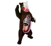 Ounfhtrttk Modelo de Anatomía del Oso Animal 4D Vision, 36 Piezas, Órgano de Biología Animal Desmontable, Suministros Anatómicos para el Aula, Enseñanza