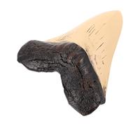 OUNONA Dientes Disfraz de Tiburón Megalodón de Resina Realista para Manualidades DIY y Obsequio Educativo para Amantes de Criaturas Prehistóricas