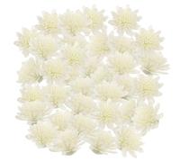 OUNONA Difusor de Flores de Crisantemo Blanco 100 Unidades Accesorios de Aromaterapia de PE para Liberar Fragancia y Evaporar Perfume Hogar