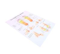 OUNONA Póster De Reflexología Podal Arte Mural Póster De Conocimientos De Masaje Para Decoración Del Hogar Oficina Cuadro De Reflexología Podal