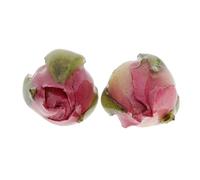 OUOULAJY 2 dijes de flores reales envueltos en resina, para hacer joyas de 2 x 1 cm, 2x1 cm, Poliéster