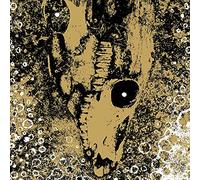 Our Circle Is Vicious [Vinilo]