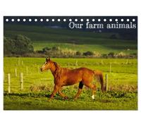 Our farm animals (Desk Calendar 2026 DIN A5 landscape), CALVENDO 12 Month DeskCalendar: Farm animals photography