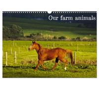 Our farm animals (Wall Calendar 2026 DIN A3 landscape), CALVENDO 12 Month Wall Calendar: Farm animals photography