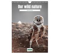 Our wild nature, American birds (Wall Calendar 2026 DIN A4 portrait), CALVENDO 12 Month Wall Calendar: Birds of the Americas