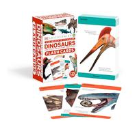Our World in Pictures Dinosaurs and Other Prehistoric Creatures Flash Cards (DK Our World in Pictures)