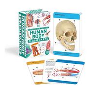 Our World in Pictures Human Body Flash Cards (DK Our World in Pictures)