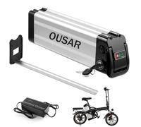 OUSAR Batería Bicicleta Eléctrica 48V, Batería Ebike 48V 15Ah con Cargador 2A, Batería Tipo Pez Plateada para Bici Plegable, Salida 2 Pines, Motor 50W-1000W, para Ciclismo Urbano Y Adulto