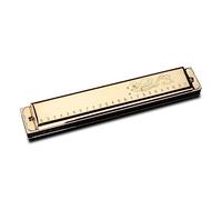 OUSIKA armónica Armónica acentuada de 24 agujeros for adultos principiantes aprende a tocar instrumentos musicales en clave C Harmonica (Color : Gold)