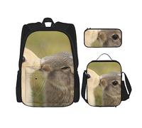 OUSIKA Mochila con estampado de pareja de conejos, 3 piezas, casual, lonchera y estuche para lápices, para viajes, color negro, talla única, mochila casual, viajes, Black, Talla única, Mochila,