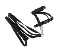 Outanaya Arnés para Gatos Correa de Nailon Ajustable en Pecho y Abdomen, Cierre Rápido Hebilla, Accesorios para Gatos y Gatitos en Uso Interior y Exterior