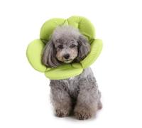 Outanaya Collar Isabelino para Mascotas de Tela Flexible y Lavable, Diseño Único de Cierre, Cono Protector Ligero para Recuperación Postoperatoria de Cachorros y Gatos