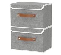 OUTBROS Cajas Almacenaje Lavable, Cubos de Ropa, Cesta de Almacenamiento Plegable, Juegos de Organizadoras con Tapa y Asa, Contenedores de Tela para Ropa, 38 x 25 x 25 cm, 2 unidades, Gris