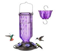 Outdoor Hummingbird Feeder - Glass 20cm | Hangable Backyard Bird Feeding Bottle with Multiple Ports | Wild Dispenser Garden Decoration for Enthusiasts Railing Table Deck Balcony Window