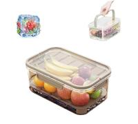 Outdoor Ice Preservation Box, Double Layer Portable Kitchen Refrigerator Storage Box, with Ice Pack & Handle for Outdoor Camping Saver Cooler for Fruits Veggies and Snacks (Coffee)