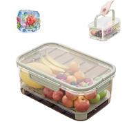 Outdoor Ice Preservation Box, Double Layer Portable Kitchen Refrigerator Storage Box, with Ice Pack & Handle for Outdoor Camping Saver Cooler for Fruits Veggies and Snacks (Green)