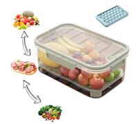 Outdoor Ice Preservation Box, Kitchen Refrigerator Storage Box with Drain Divider, Double Layer Portable Snackle Box with Ice Pack & Handle for Camping Picnic, Meat, Veggies (2PCS)