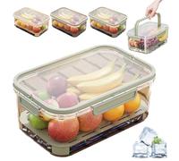 Outdoor Ice Preservation Box, Picnic Snackle Box Container with Ice Pack and Lid, Portable Platter Box for Meat, Veggies, Fruit (Green*1)