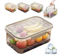 Outdoor Ice Preservation Box, Picnic Snackle Box Container with Ice Pack and Lid, Portable Platter Box for Meat, Veggies, Fruit (Brown*1)