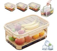 Outdoor Ice Preservation Box, Picnic Snackle Box Container with Ice Pack and Lid, Portable Platter Box for Meat, Veggies, Fruit (Beige*1)
