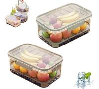 Outdoor Ice Preservation Box, Portable Snackle Box Container with Ice Pack, Double Layer Chilled Serving Tray with Lid & Handle, Portable Fresh Saver Cooler for Camping Picnic (Green+Brown)