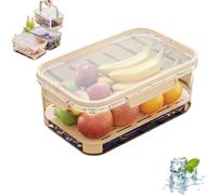 Outdoor Ice Preservation Box, Portable Snackle Box Container with Ice Pack, Double Layer Chilled Serving Tray with Lid & Handle, Portable Fresh Saver Cooler for Camping Picnic (Yellow)