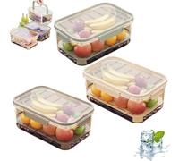 Outdoor Ice Preservation Box, Portable Snackle Box Container with Ice Pack, Double Layer Chilled Serving Tray with Lid & Handle, Portable Fresh Saver Cooler for Camping Picnic (3Pcs)