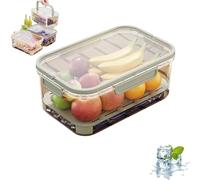 Outdoor Ice Preservation Box, Portable Snackle Box Container with Ice Pack, Double Layer Chilled Serving Tray with Lid & Handle, Portable Fresh Saver Cooler for Camping Picnic (Green)