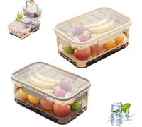 Outdoor Ice Preservation Box, Portable Snackle Box Container with Ice Pack, Double Layer Chilled Serving Tray with Lid & Handle, Portable Fresh Saver Cooler for Camping Picnic (Yellow+Brown)