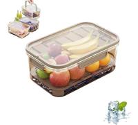 Outdoor Ice Preservation Box, Portable Snackle Box Container with Ice Pack, Double Layer Chilled Serving Tray with Lid & Handle, Portable Fresh Saver Cooler for Camping Picnic (Brown)