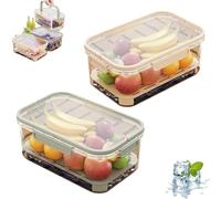 Outdoor Ice Preservation Box, Portable Snackle Box Container with Ice Pack, Double Layer Chilled Serving Tray with Lid & Handle, Portable Fresh Saver Cooler for Camping Picnic (Yellow+Green)
