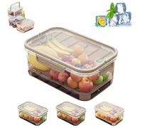 Outdoor Ice Preservation Box, Portable Snackle Box Container with Ice Pack, Double Layer Portable Kitchen Refrigerator StorageBox, Snackle Boxs with Ice Pack & Handle for Meat Veggies (Coffee)