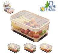 Outdoor Ice Preservation Box, Portable Snackle Box Container with Ice Pack, Double Layer Portable Kitchen Refrigerator StorageBox, Snackle Boxs with Ice Pack & Handle for Meat Veggies (Yellow)