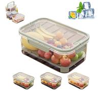Outdoor Ice Preservation Box, Portable Snackle Box Container with Ice Pack, Double Layer Portable Kitchen Refrigerator StorageBox, Snackle Boxs with Ice Pack & Handle for Meat Veggies (Green)