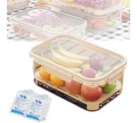 Outdoor Ice Preservation Box, Portable Snackle Box Container with Ice Pack, Snackle Box with Ice Pack & Handle,Double Layer Portable Kitchen Refrigerator Storage Box, for Camping Picnic (Beige)