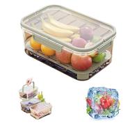 Outdoor Ice Preservation Box, Snackle Box Container with Ice Pack, Fruit Trays for Serving for Party, Portable Fresh Saver Cooler for Camping Picnic Portable Fresh Saver Cooler (Green)