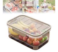 Outdoor Ice Preservation Box, Snackle Box Container with Ice Pack, Portable Insulated Food Saver for Camping, Picnic, Beach with Clear Lid, Chilled Serving Tray & Ergonomic Handle (Brown)