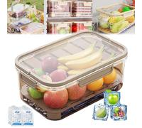 Outdoor Ice Preservation Box,Snackle Box with Ice Pack & Handle, Clear Ice Preservation Holder with Drain Divider,Portable Fresh Saver Cooler,for Camping Picnic (Coffee)
