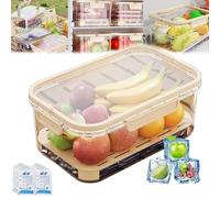 Outdoor Ice Preservation Box,Snackle Box with Ice Pack & Handle, Clear Ice Preservation Holder with Drain Divider,Portable Fresh Saver Cooler,for Camping Picnic (Yellow)